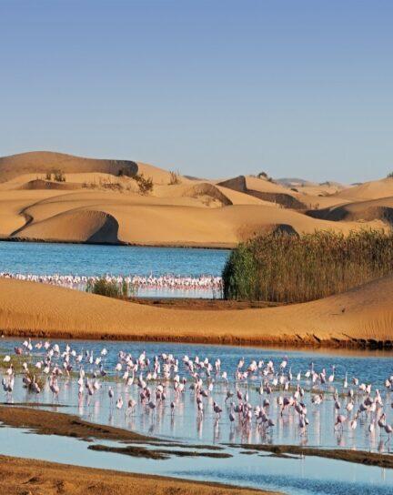 11 Reasons to Visit Namibia