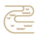 Positive Impact illustration image