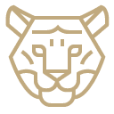 Personalised design illustration image