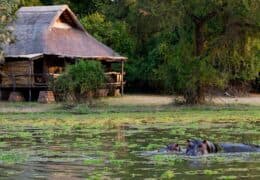 Mfuwe Lodge