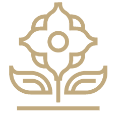 Authentic experiences illustration image