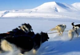 Iceland and Arctic Norway Adventure