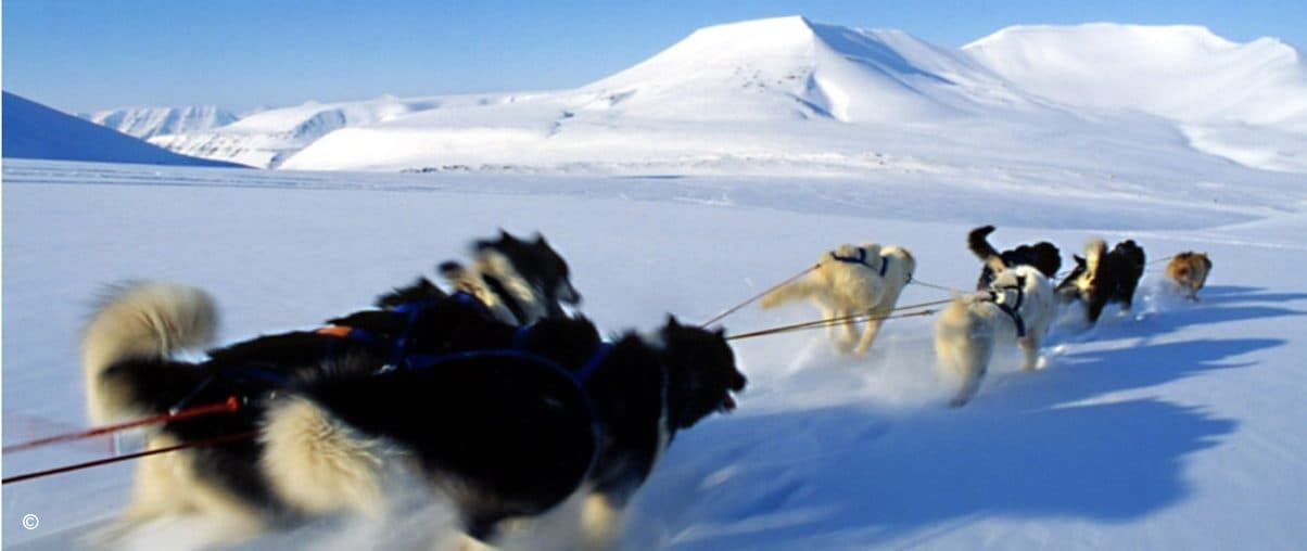 Iceland and Arctic Norway Adventure