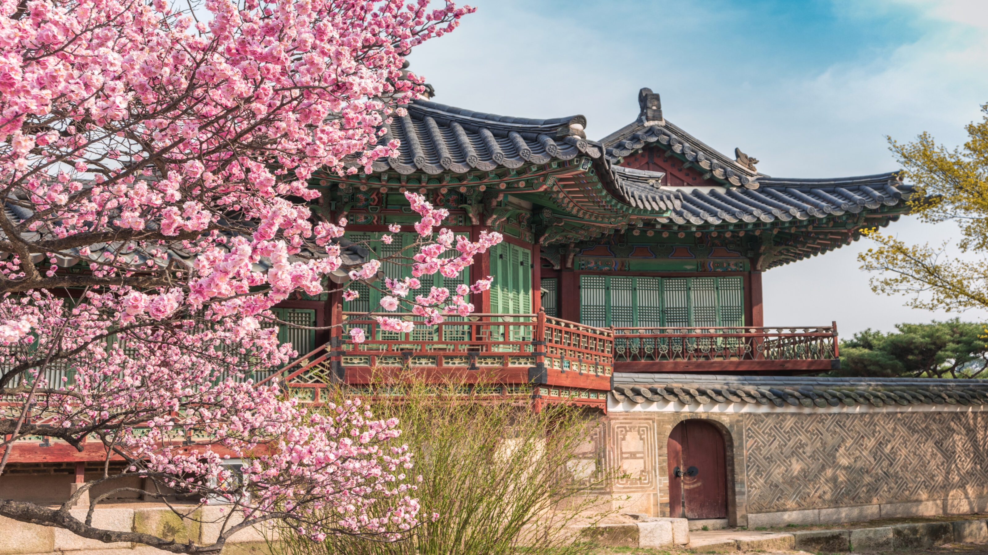 Cherry Blossoms in South Korea | Jacada Travel