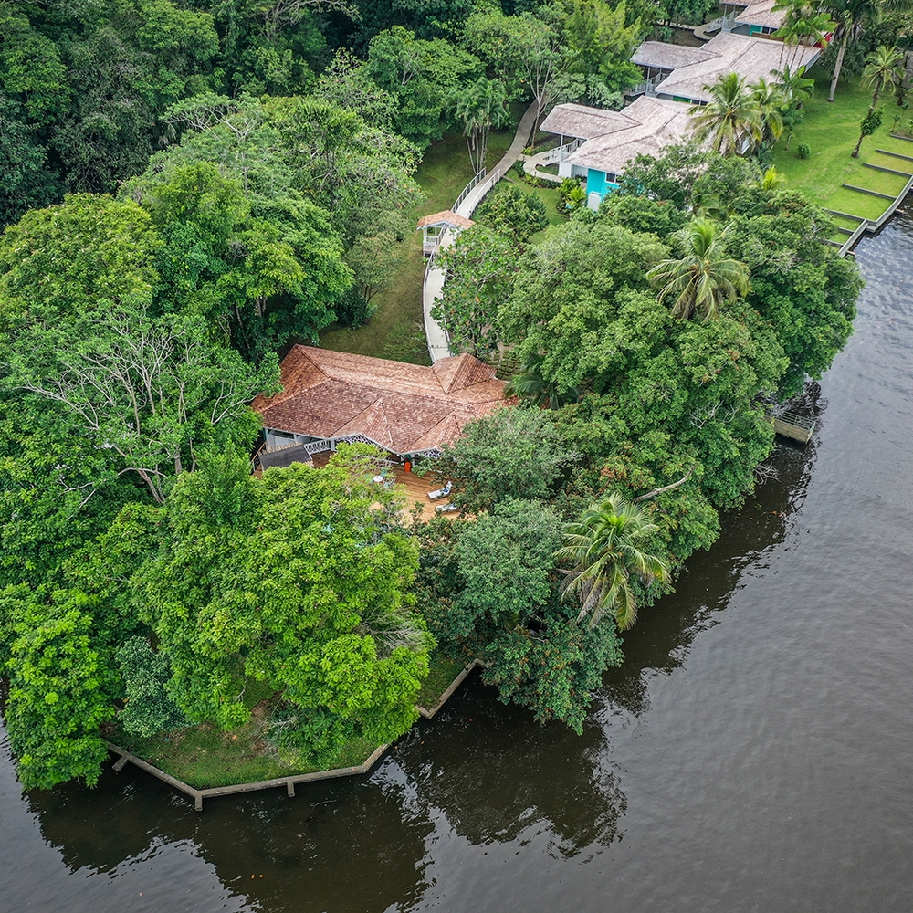 Waterfront villa at Tortuga Lodge Costa Rica nestled between a dark river and a dense green rainforest.