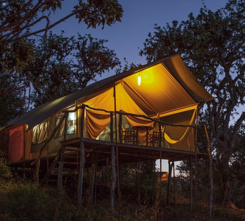 A view of one of Galápagos Safari Camp's tents at night.