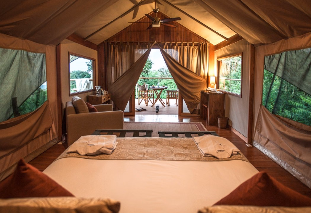 One of Galápagos Safari Camp's bedrooms overlooking the surrounding trees.
