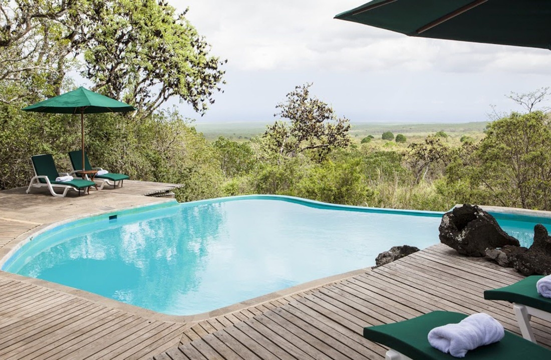 Galápagos Safari Camp's swimming pool overlooking lush treetops.