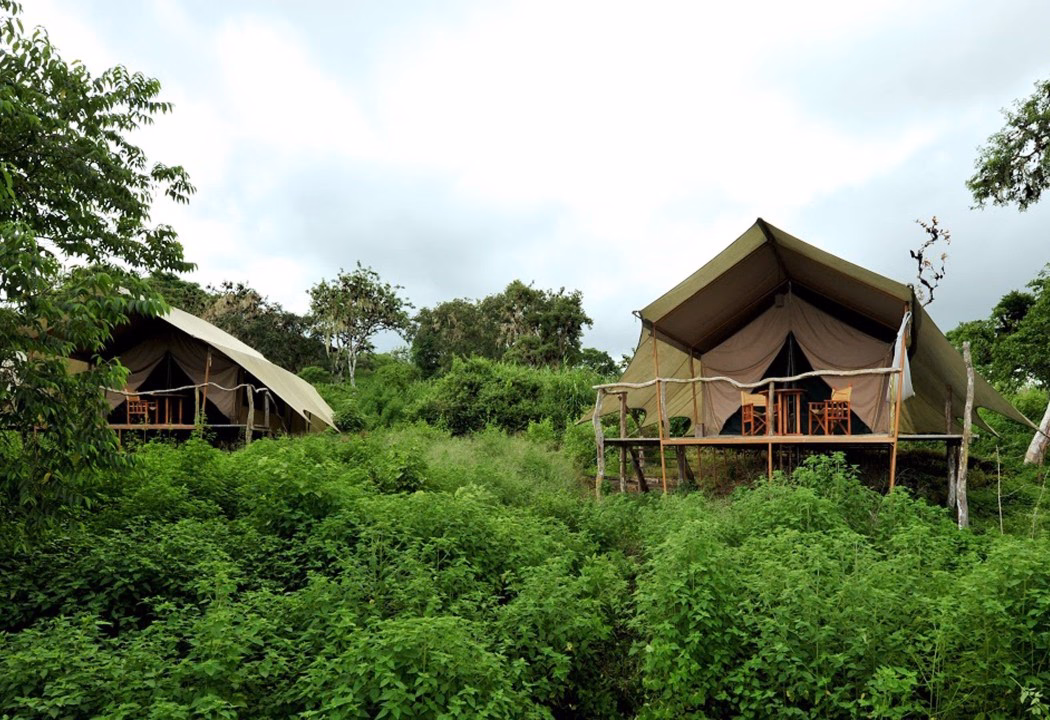 A view of Galápagos Safari Camp canvas tents.