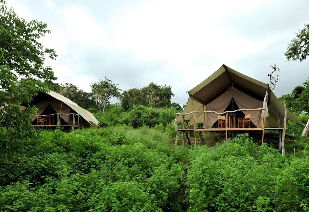 A view of Galápagos Safari Camp canvas tents.