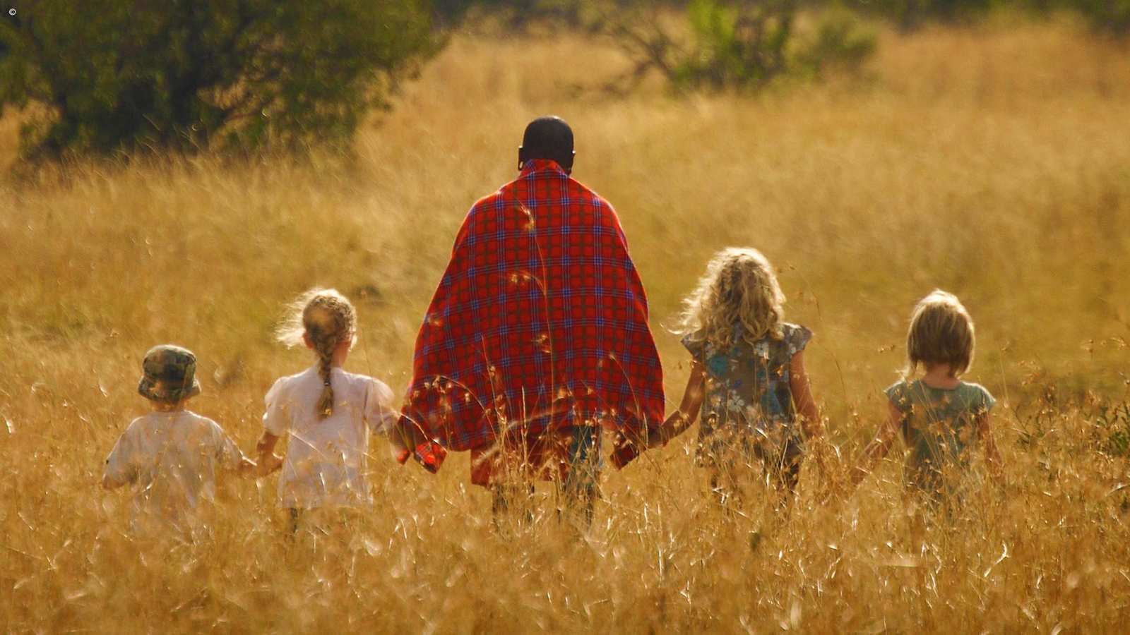 A man in a red patterned wrap walks with four children through a field of tall golden grass at sunset.