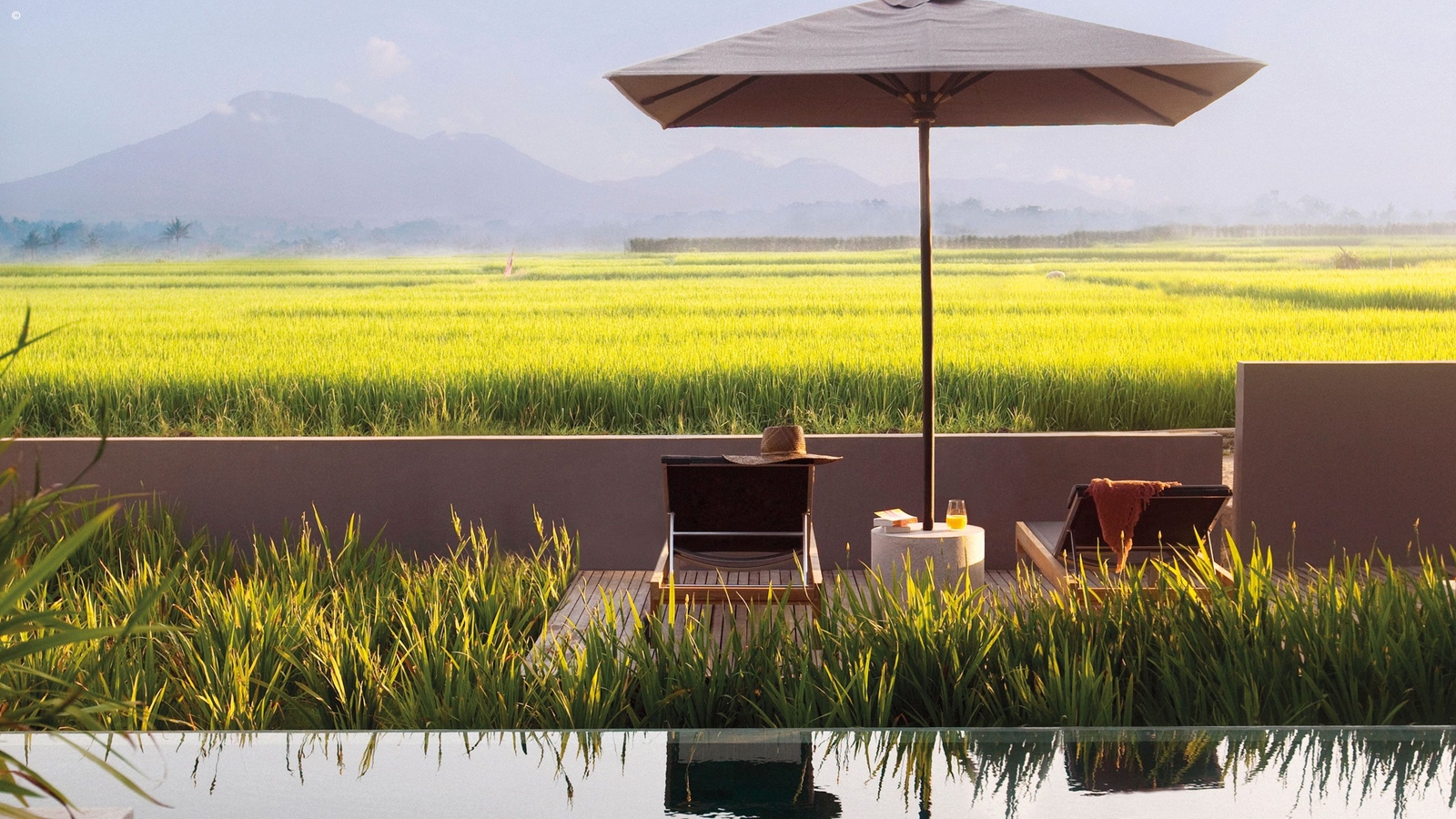 A tranquil outdoor seating area with a view of lush rice fields and mountains, featuring a chaise lounge, umbrella, and refreshments.