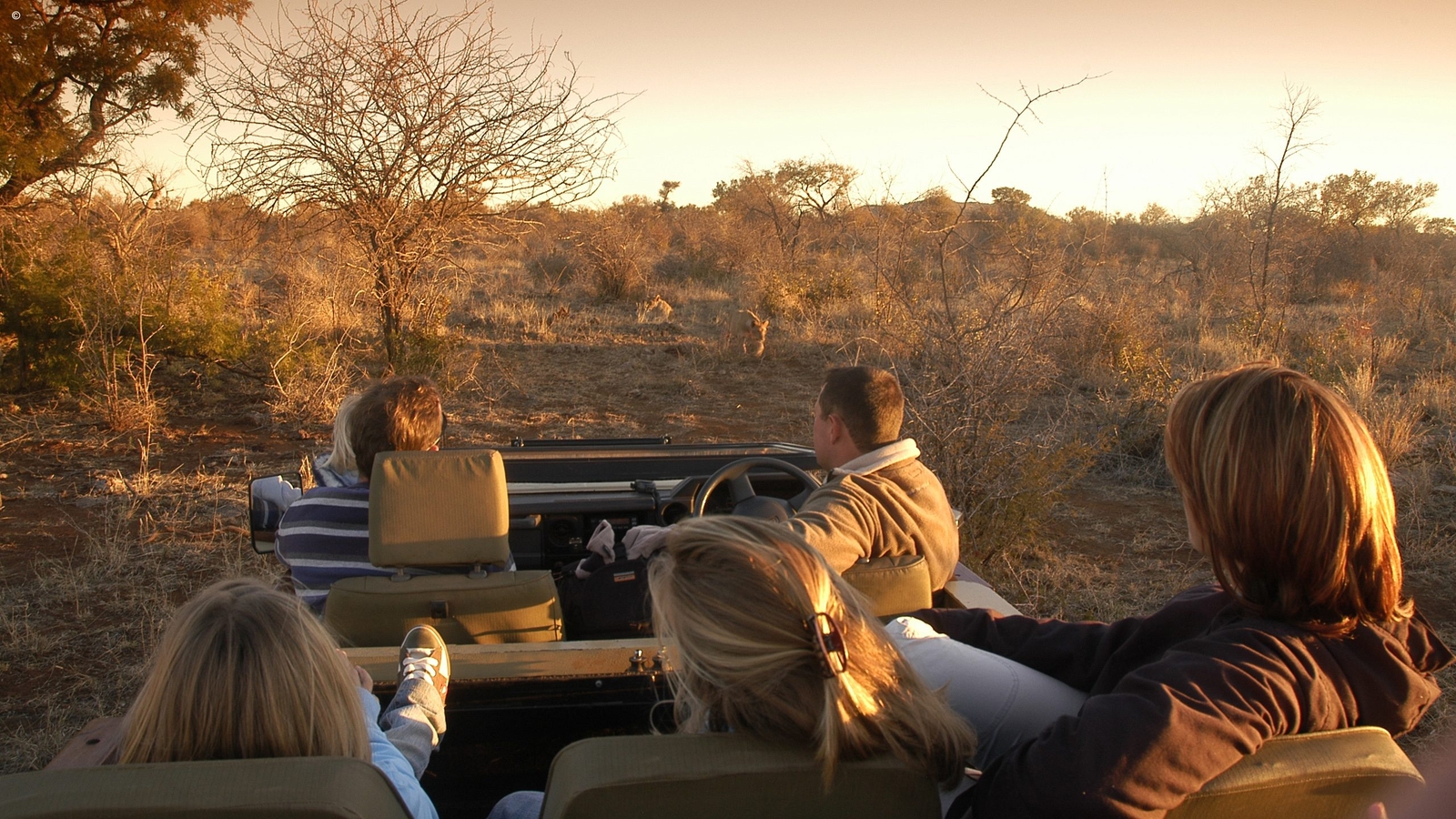 A family on Safari at Tuningi Lodge South Africa