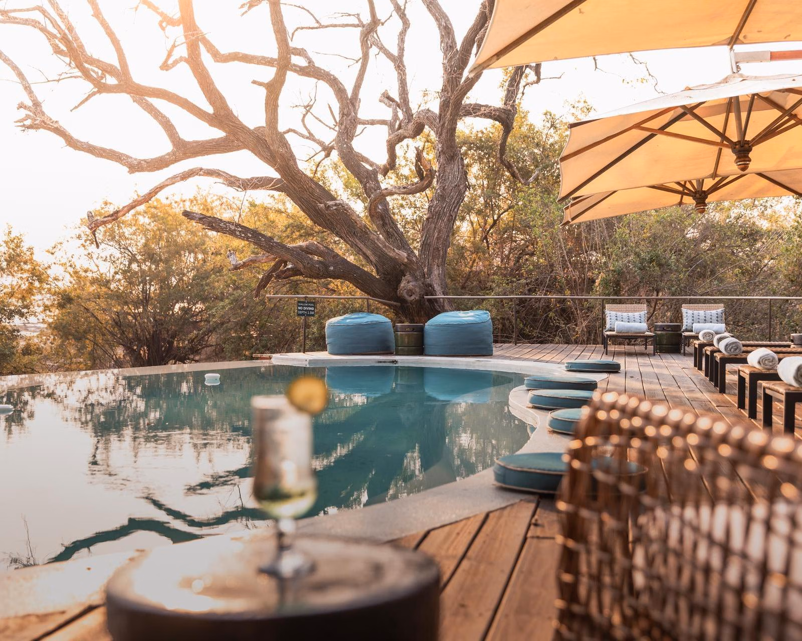 Pool with a wooden deck, lounge chairs, and a tree