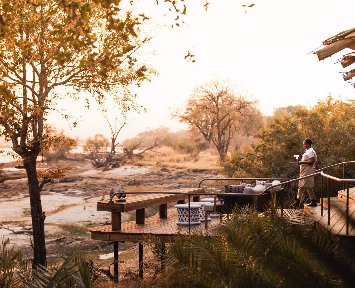 A staff member carrying a tray walks down stairs to a wooden viewing deck with seating, overlooking a dry savanna at sunset.