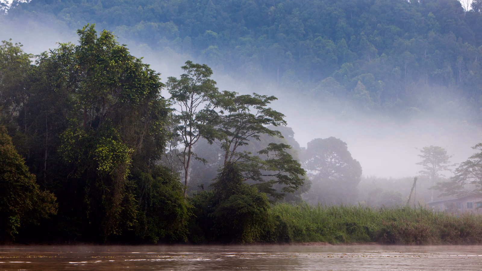 When is the Best Time to Visit Borneo?