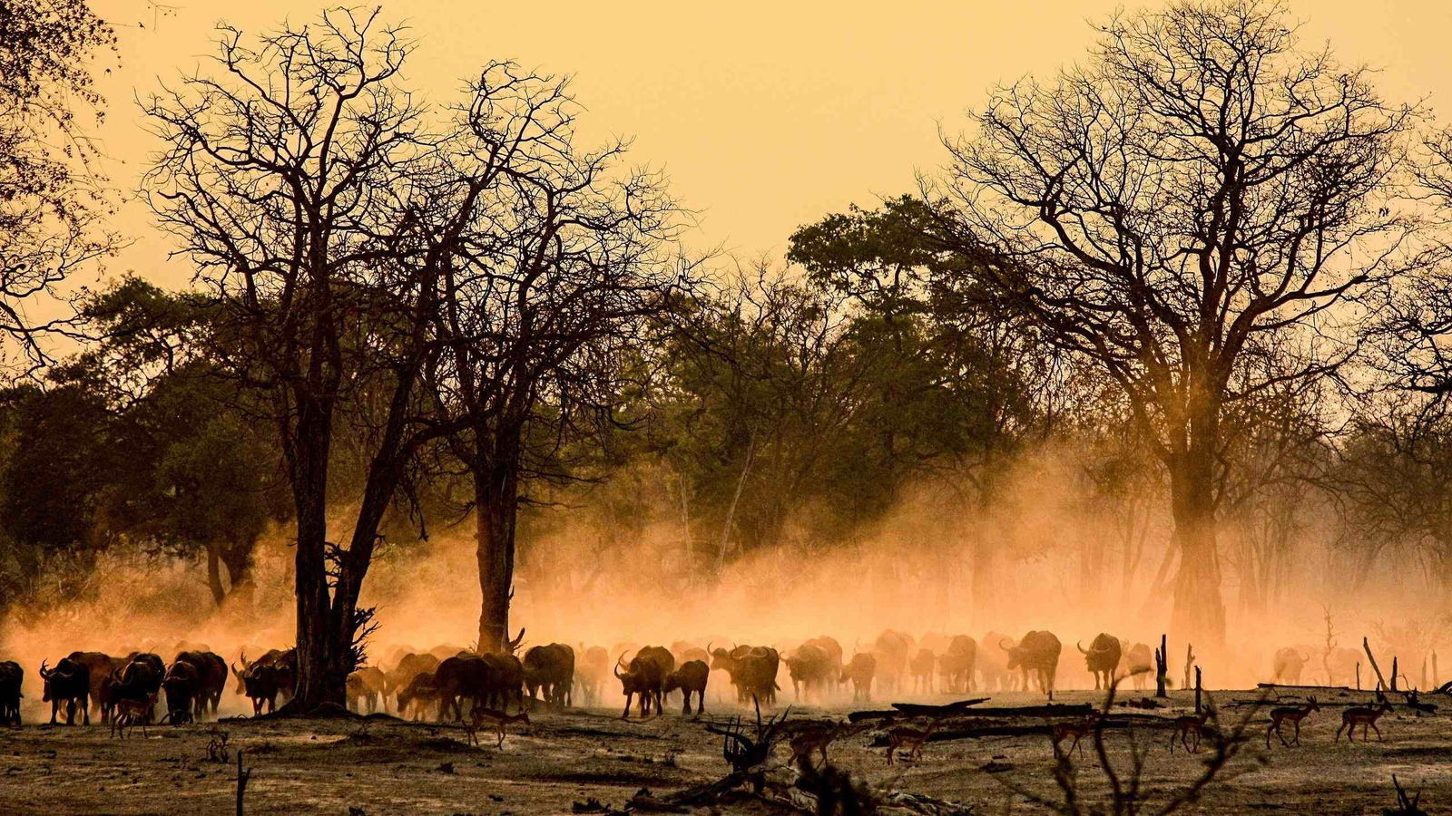 The Best Time to Visit Zambia