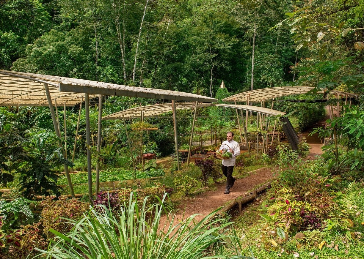 A chef collecting produce from the vegetable garden at Origins Lodge, Costa Rica