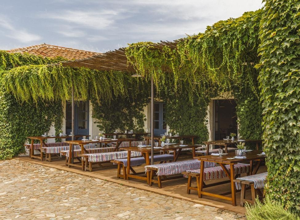 An outdoor dining patio features wooden picnic-style tables and benches shaded by lush green vines on a trellis.
