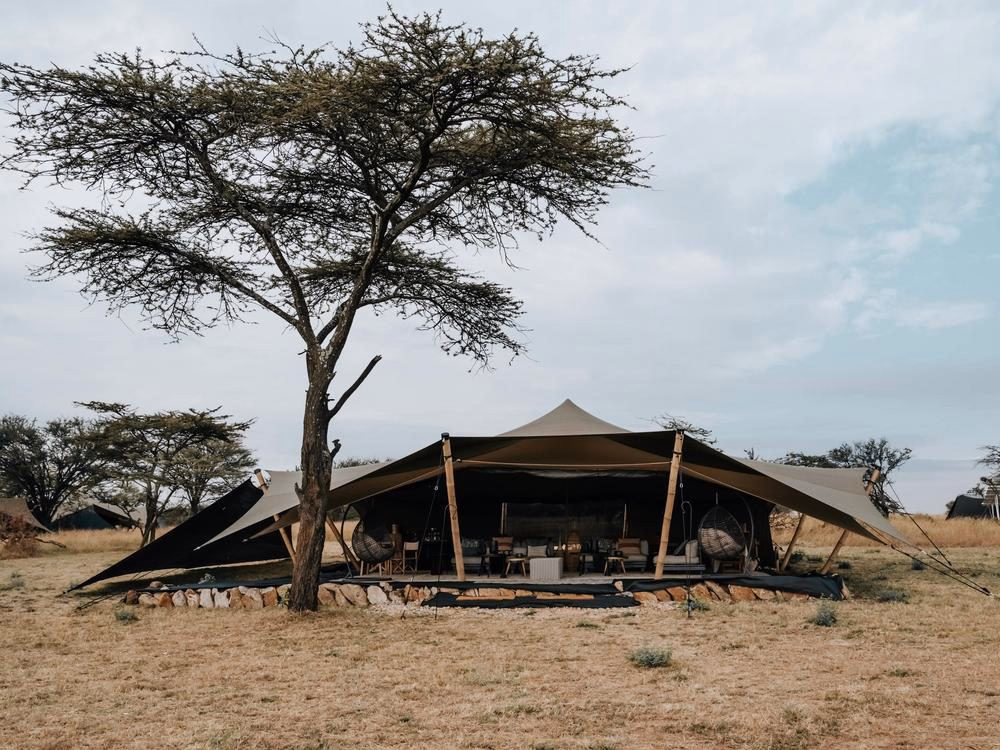 Full view of Usawa camp tent with tree