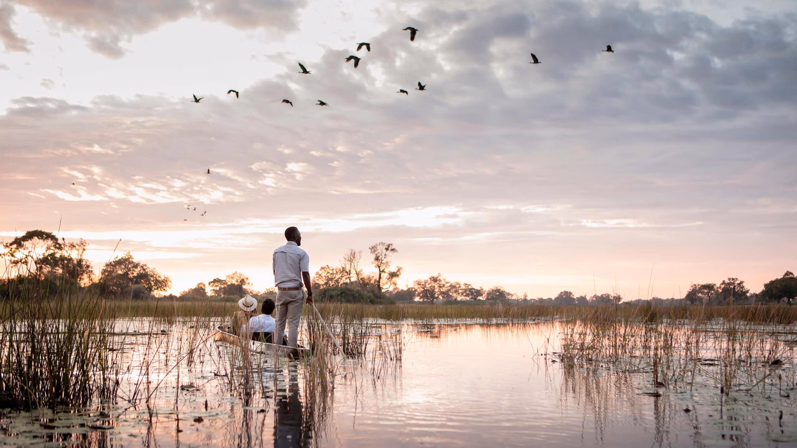 Botswana’s Okavango Delta: The Ultimate Guide