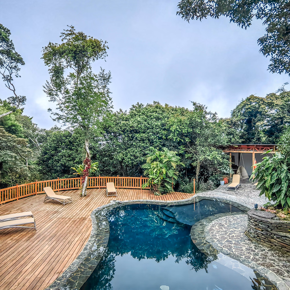 An outdoor swimming pool with lounge chairs on a wooden deck surrounded by thick green trees.