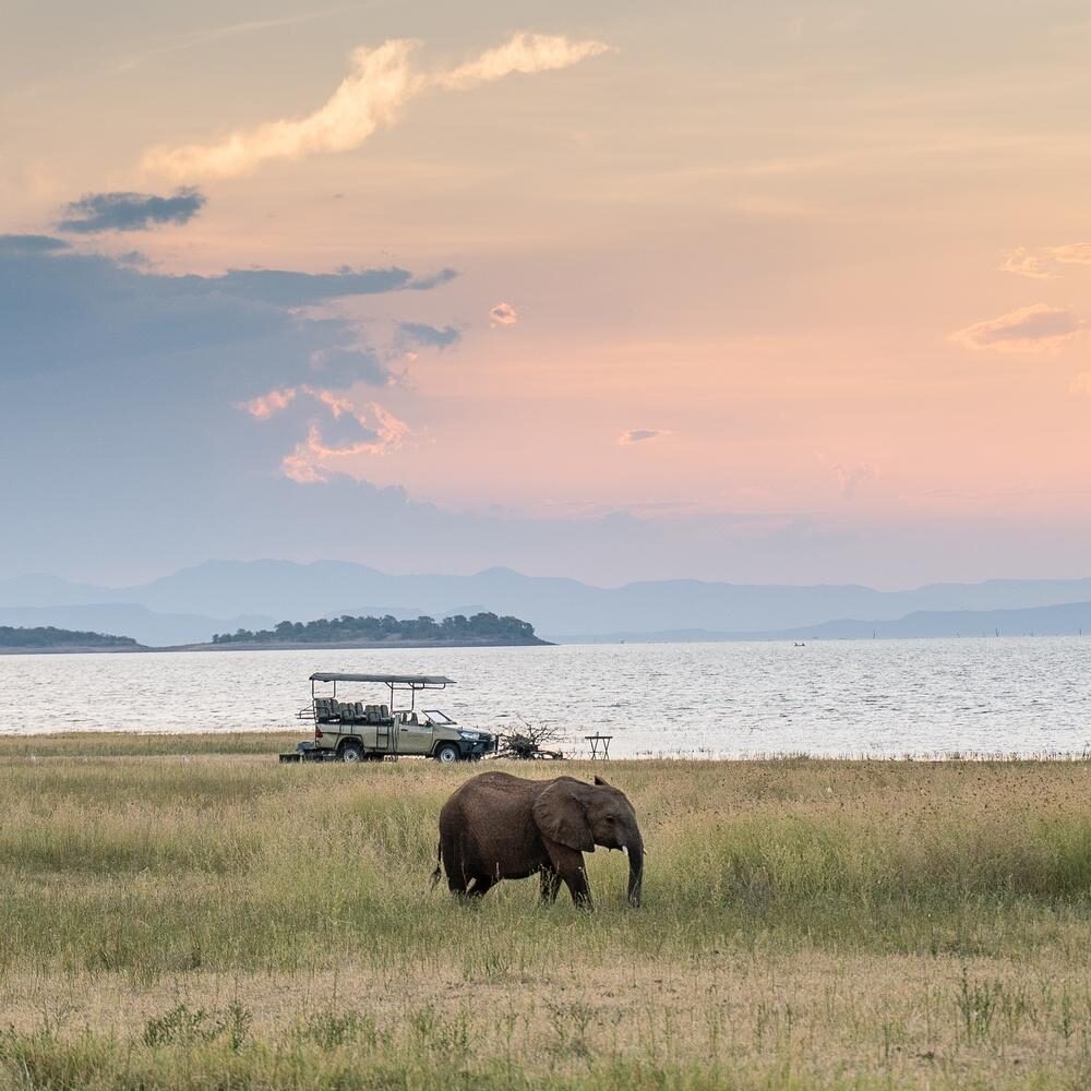 An elephant at Bumi Hills safari lodge in Zimbabwe