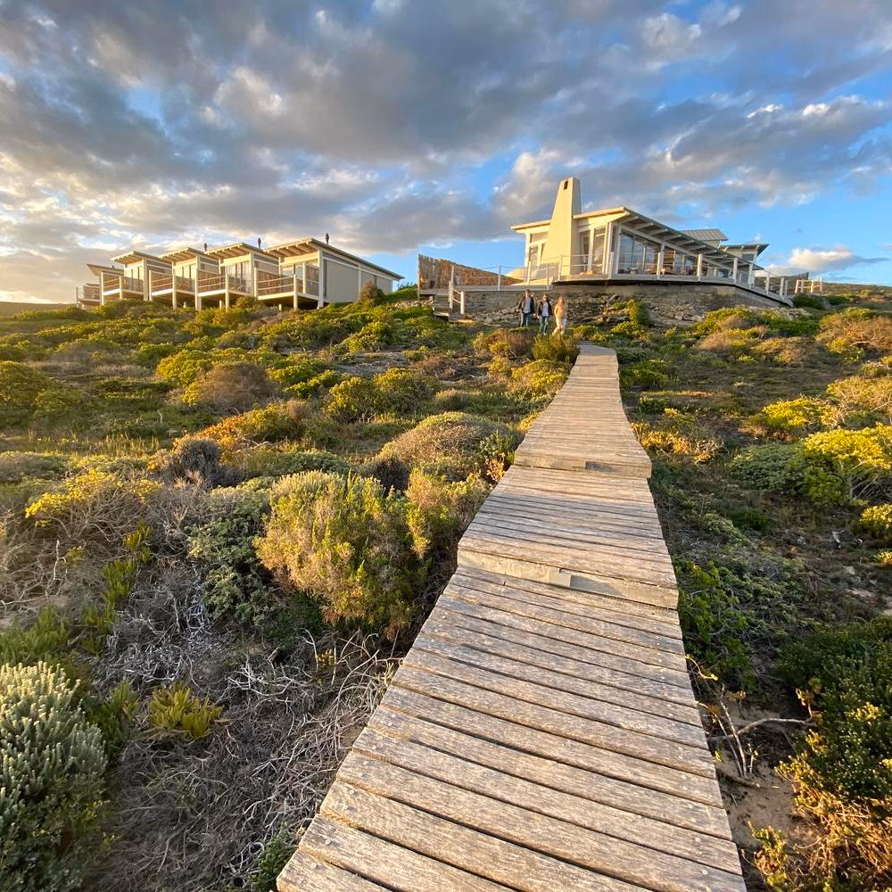 The path leading up top lekkerwater beach lodge, south africa