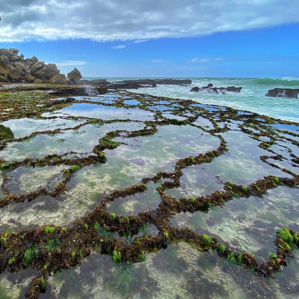 Rock pools nearLekkerwater Beach Lodge, South Africa