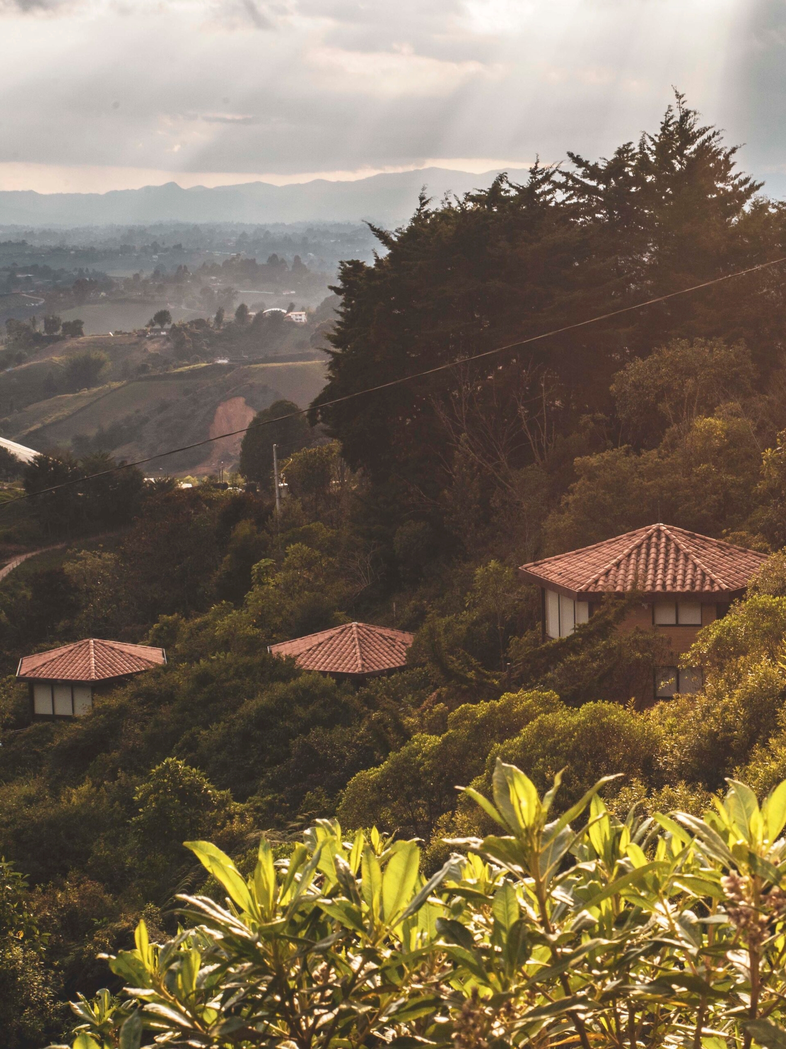 Sun rays over rural landscape with greenery and two houses with tiled roofs.