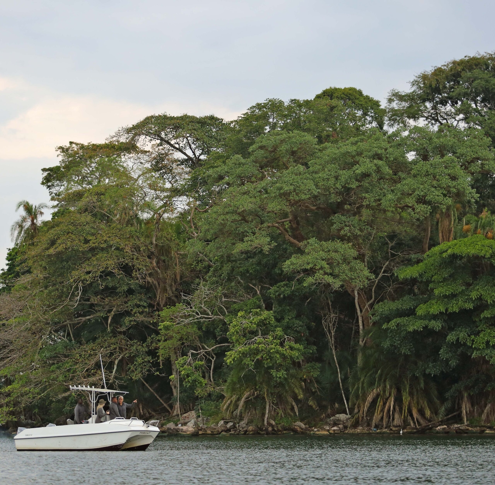 Boat with people on river near lush greenery.