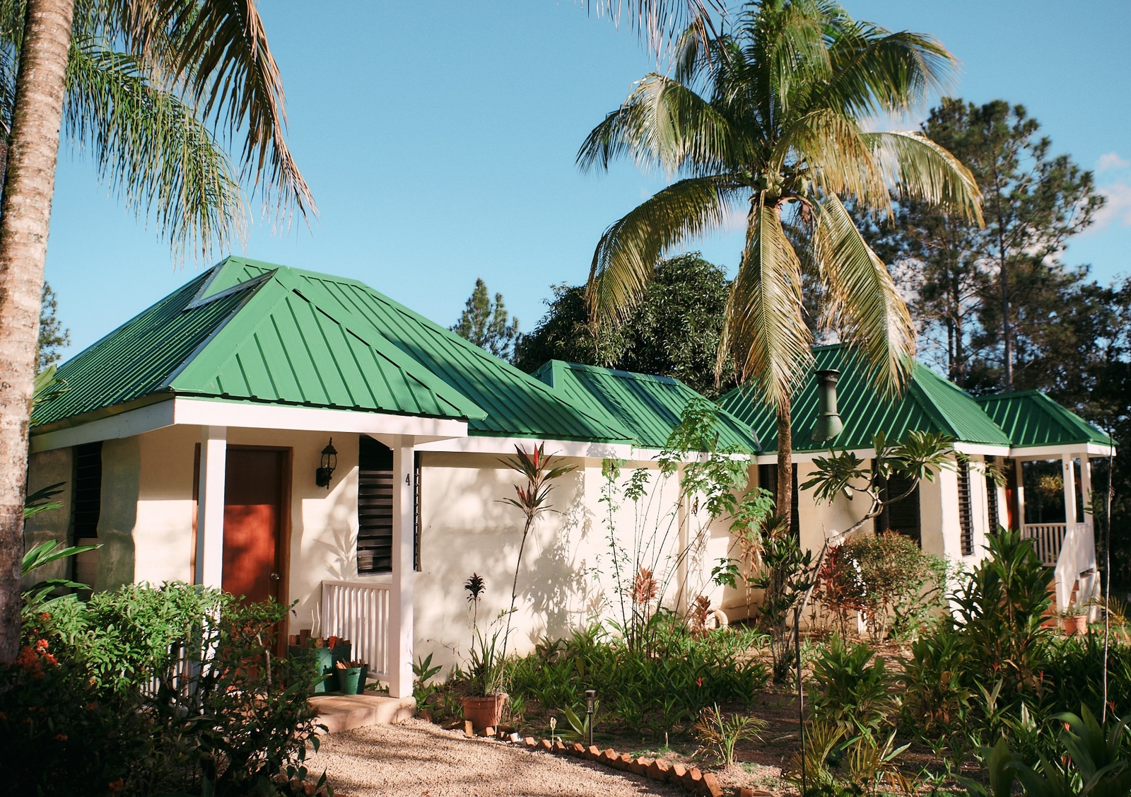 House with green roof and palm trees against a blue sky.