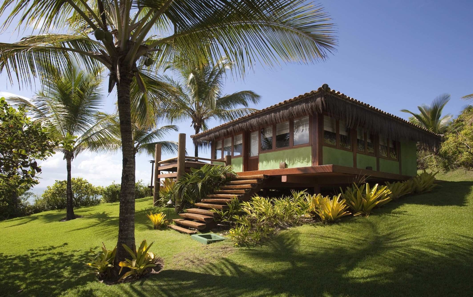 A charming green house on a hill surrounded by palm trees and lush greenery under a clear blue sky.