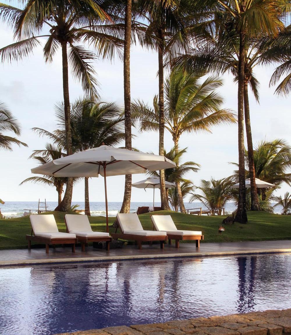 Lounge chairs beside a tranquil pool overlook palm trees and the ocean, creating a serene tropical resort atmosphere.
