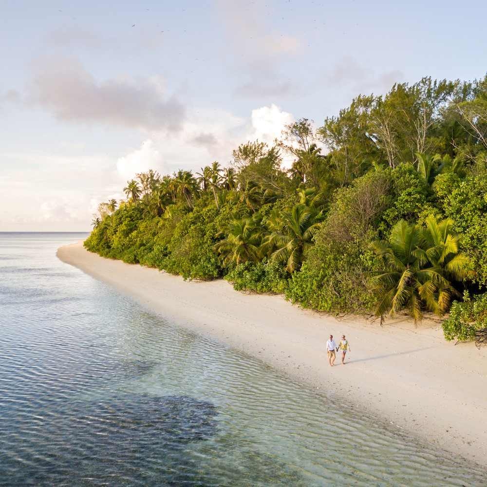 An aerial view of a couple walking on a white sand beach on Alphonse Island.