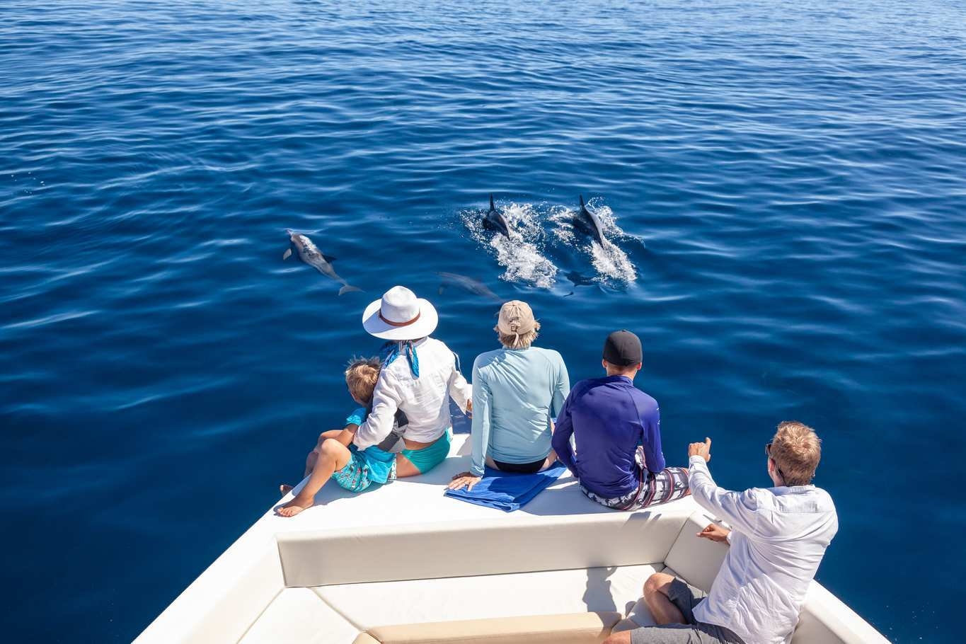 A family watching dolphins glide alongside their boat.