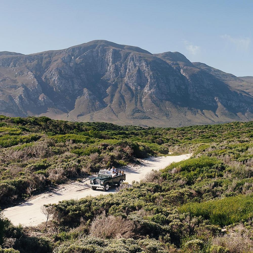 Driving through the private reserve surrounding Coot Club.