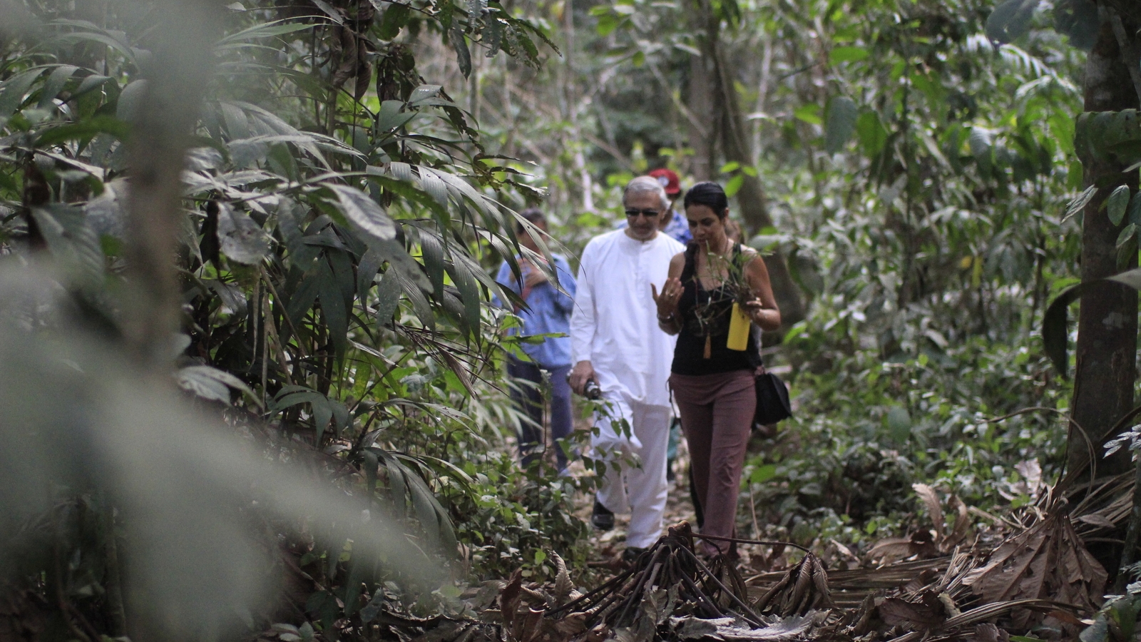 Casa Amazonas surrounding trails