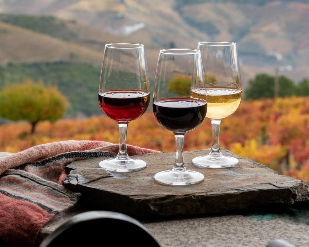 Food and wine