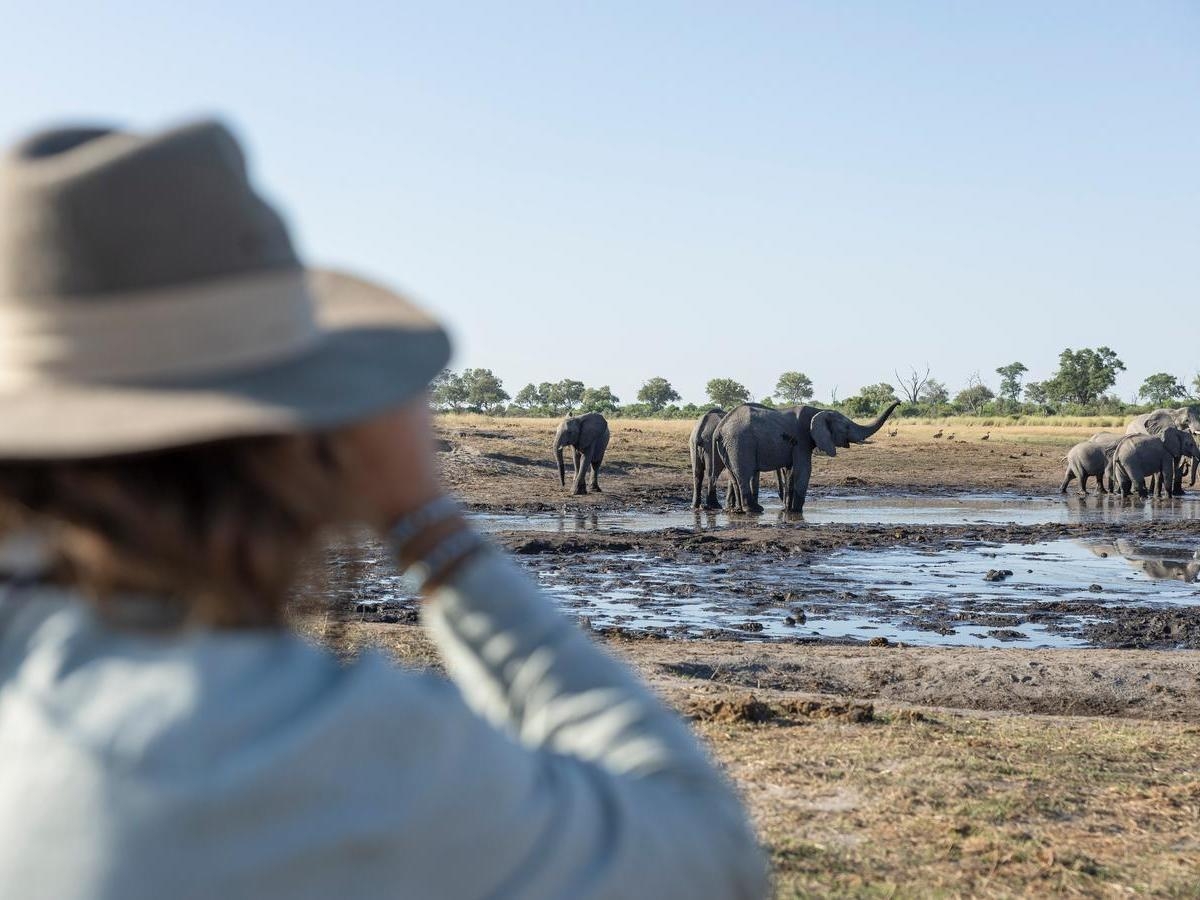 Out of focus person in a safari hat watching a herd of elephants at a muddy waterhole in the distance.