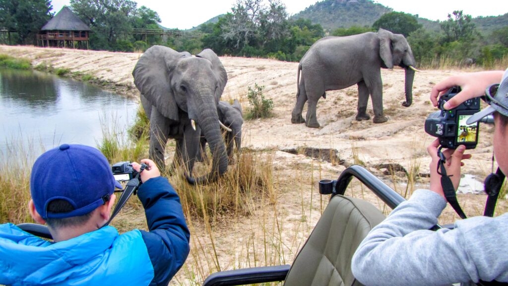 Family trips