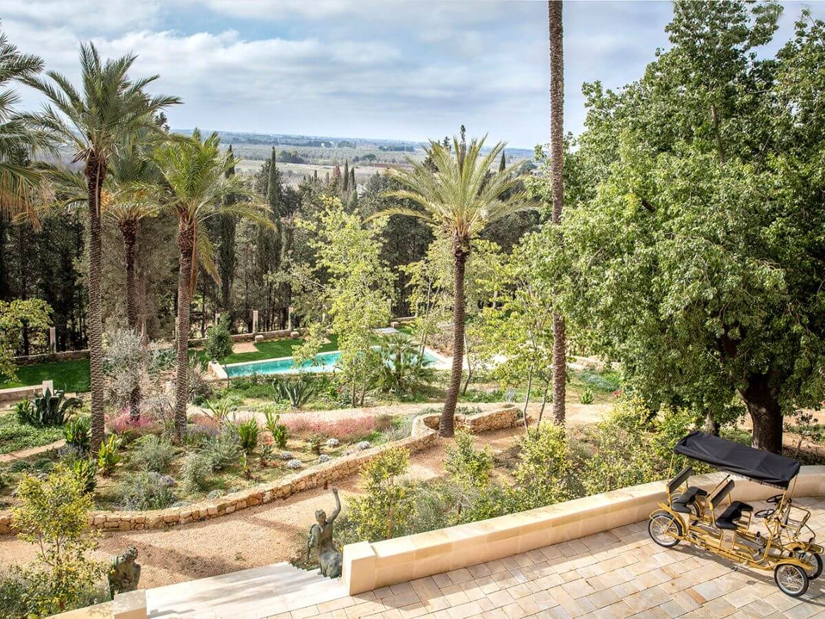 Wide view of leafy gardens with palm trees and a swimming pool