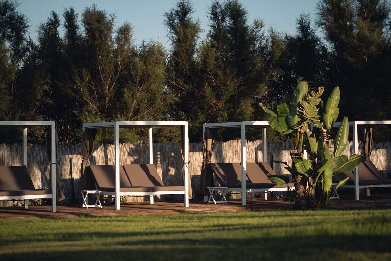 A row of four cabanas with white frames and double beds in brown upholstery, with trees and bamboo fencing behind and grass in the foreground.