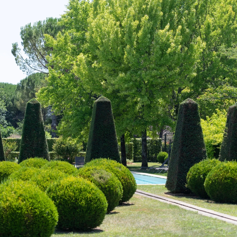 Exterior shot of gardens with several pyramid-shaped hedges, rounded hedges and a large tree in the background.