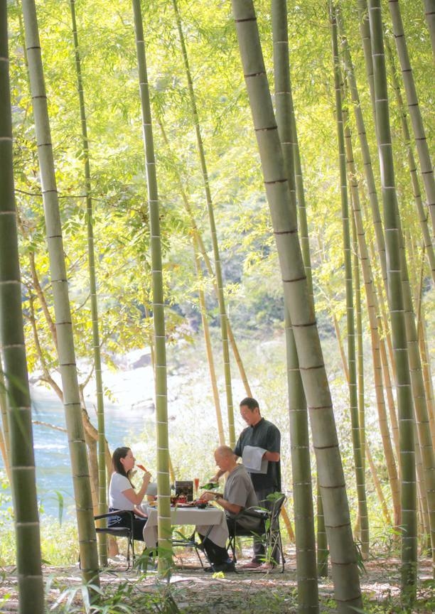 A couple dining outside in a bamboo forest