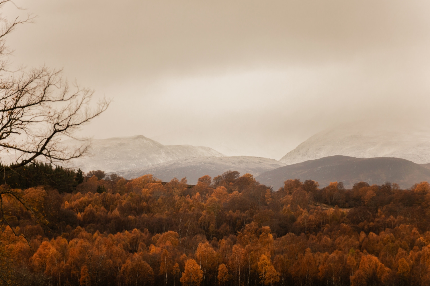 Exterior shot of woodland in autumn brown colour in the foreground and mountains dusted in snow and covered in fine clouds beyond.