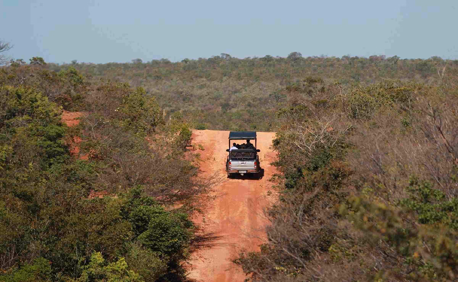 An open-sided safari vehicle riding over a red sandstone escarpment, with trees on either side and to the distance