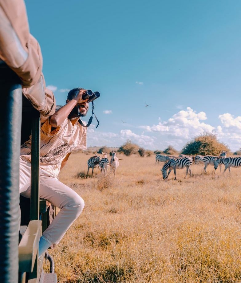 A safari guide sitting on the side of a vehicle, looking through binoculars at a herd of zebras