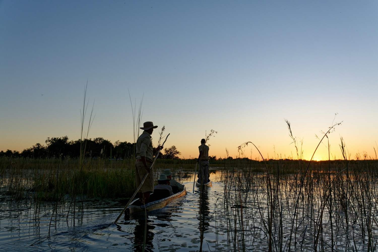 Silhouettes of two traditional mokoro canoes being poled through a grassy wetland in the Okavango Delta at sunset.