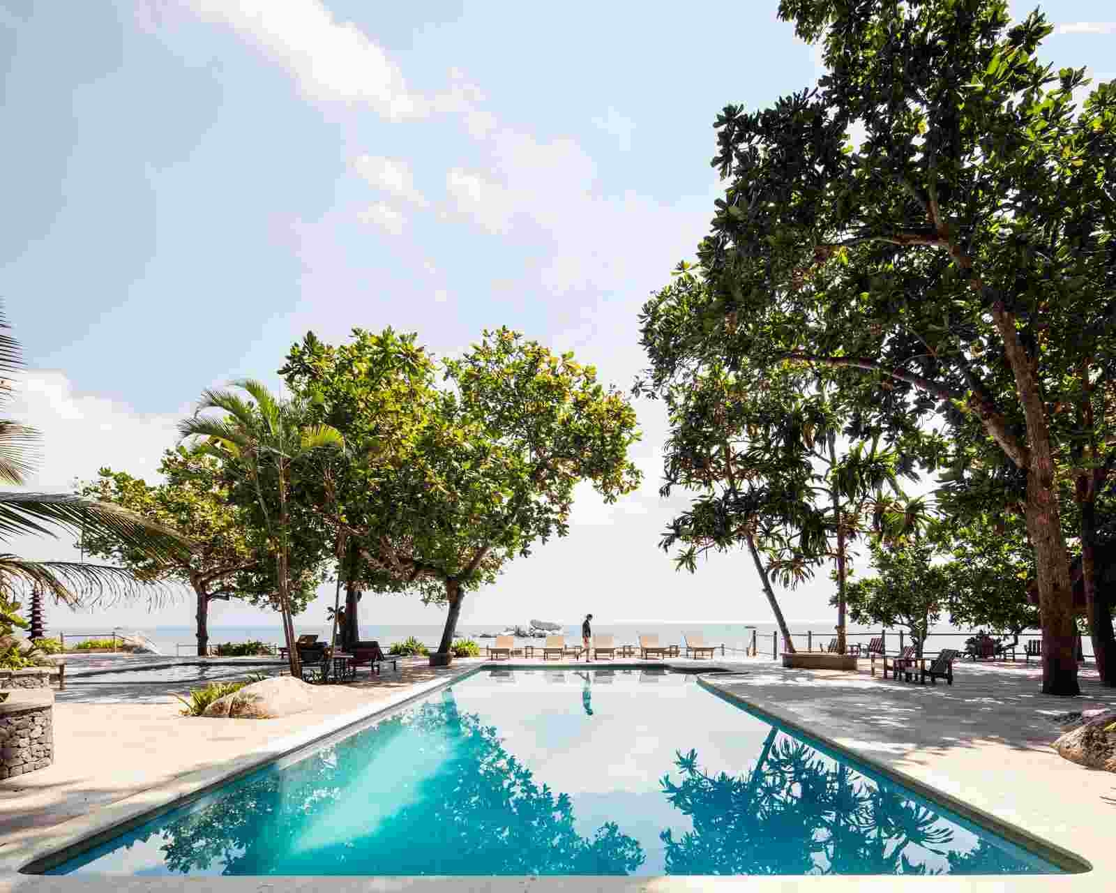 A view of a pool with trees reflected in the surface, sun loungers to the side and facing out to the ocean, and palm trees